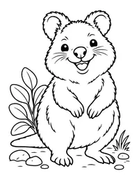 Quokka Smiling coloring page