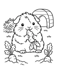 Guinea Pig Eating Carrots coloring page