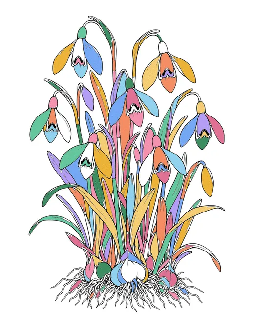 Snowdrops coloring page, colored in