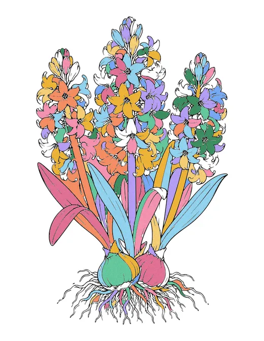 Hyacinths coloring page, colored in