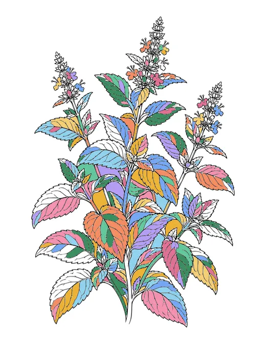 Mint Leaves coloring page, colored in
