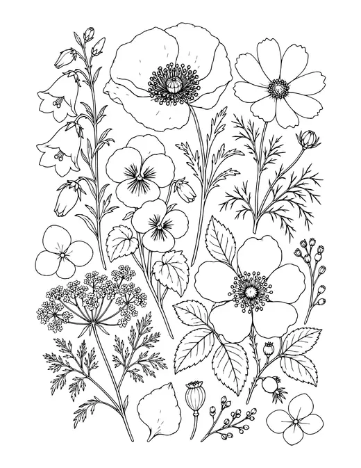 Pressed Flowers coloring page