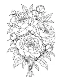 Peony Bouquet coloring page