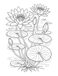 Water Lilies coloring page