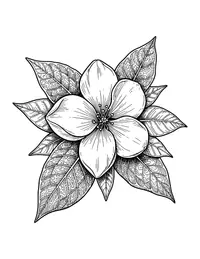 Gardenia coloring page