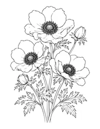 Anemones coloring page
