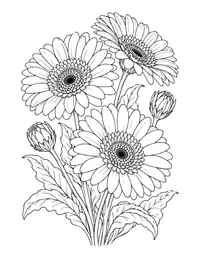 Gerbera Daisies coloring page