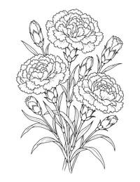 Carnations coloring page