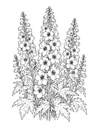 Delphiniums coloring page