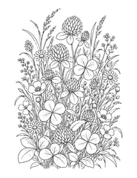 Clover Meadow coloring page