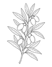 Olive Branch coloring page