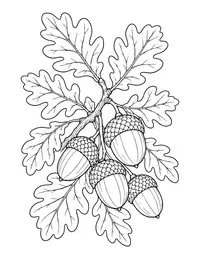 Acorns and Oak Leaves coloring page
