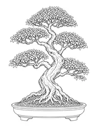 Bonsai Tree coloring page