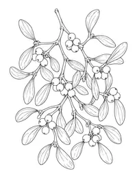 Mistletoe coloring page