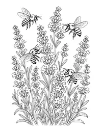 Bees on Lavender coloring page