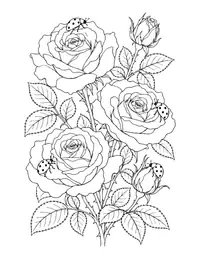 Ladybugs on Roses coloring page