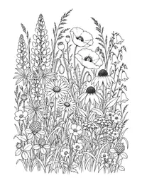 Wildflower Meadow coloring page