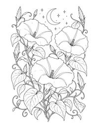 Moonflower Night Garden coloring page