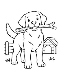 Labrador Retriever with a Stick coloring page