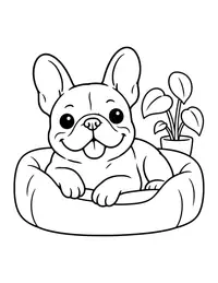 French Bulldog coloring page