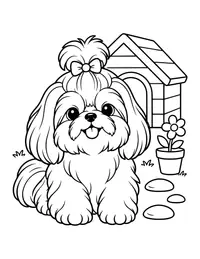 Shih Tzu with a Topknot coloring page