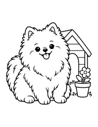 Pomeranian Fluffball coloring page