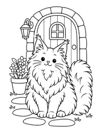 Maine Coon Cat coloring page