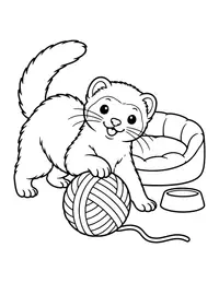Ferret Playing coloring page