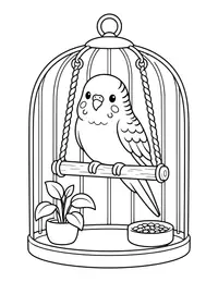 Budgie Parakeet coloring page