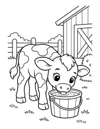 Calf Drinking from a Bucket coloring page