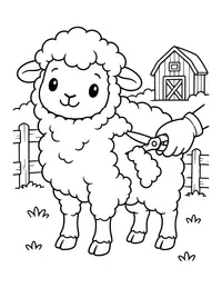 Sheep Being Sheared coloring page