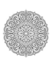 Paisley Mandala coloring page