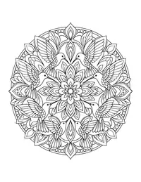 Hummingbird Mandala coloring page