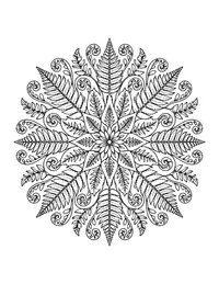 Fern Mandala coloring page