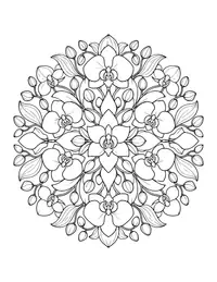 Orchid Mandala coloring page