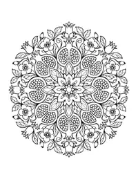 Pomegranate Mandala coloring page