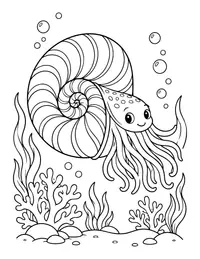 Nautilus Shell coloring page