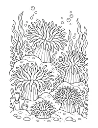 Sea Anemone Field coloring page